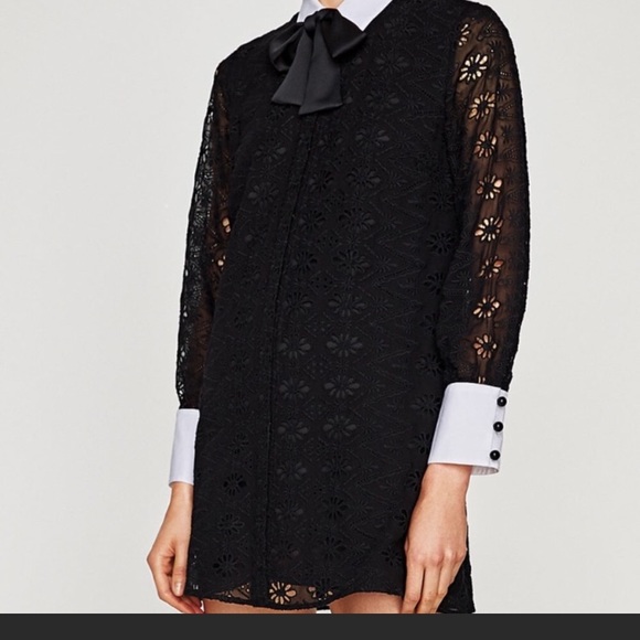 Zara Dresses & Skirts - NWT Zara Lace Dress.